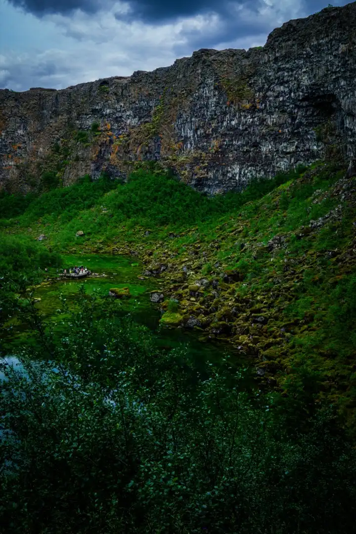 Steep mossy ravine and dark rock wall in Iceland.