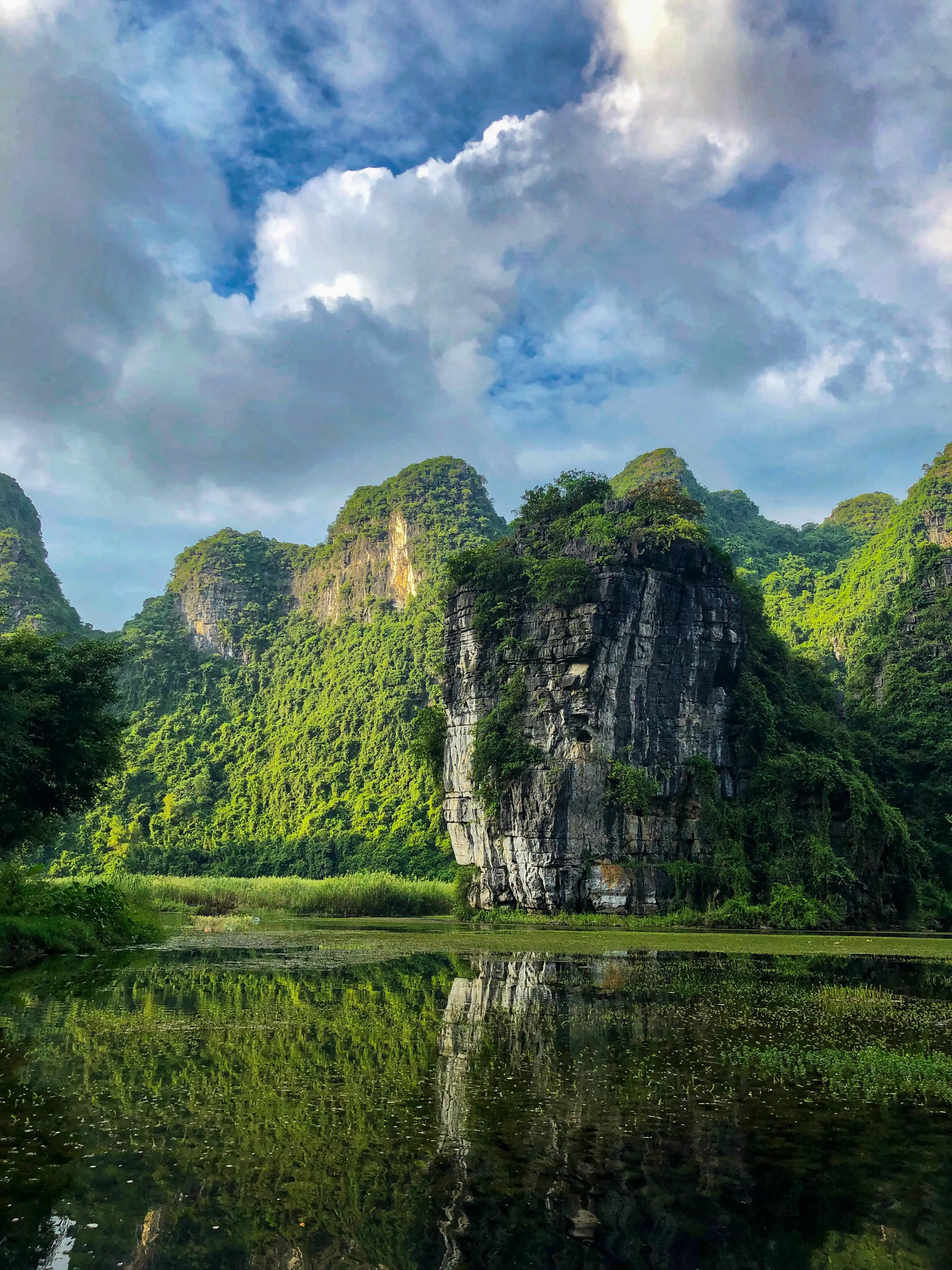 Green limestone karst cliffs and vegetation reflected in water.